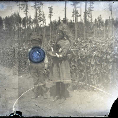 Negative, Glass-plate
