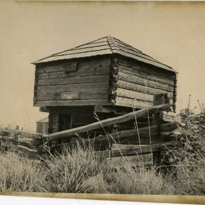 Photograph