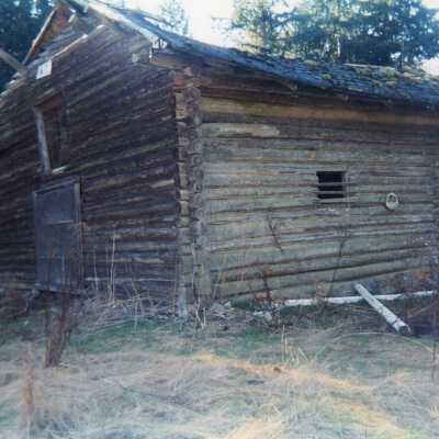 Photograph