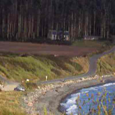 Ebey's Landing and Trees