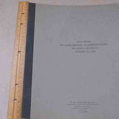 Audit Statement