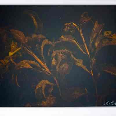 January's Antiquities
