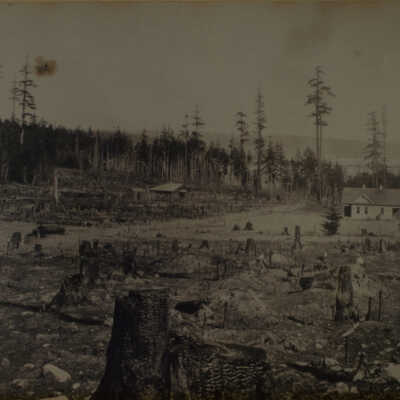 Photograph