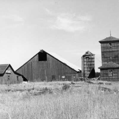 Postcard, Photographic