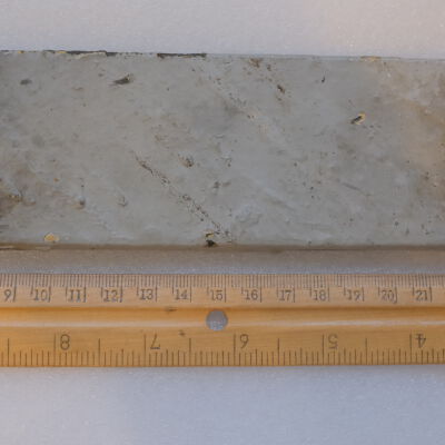 Piece of Oak Harbor Water Tower