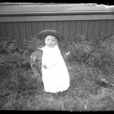 Negative, Glass-plate
