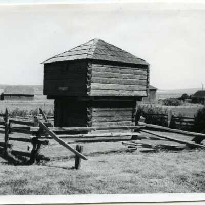 Photograph