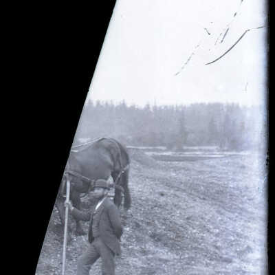 Negative, Glass-plate