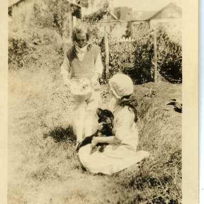 Photograph