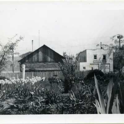 Photograph