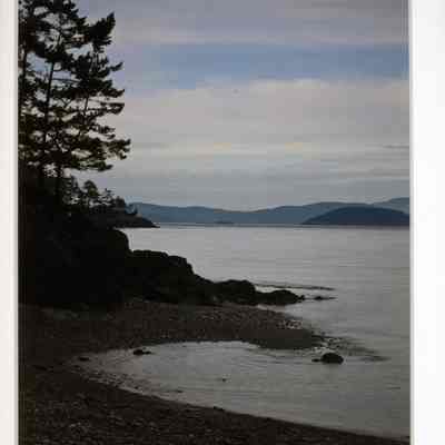 February's Peace