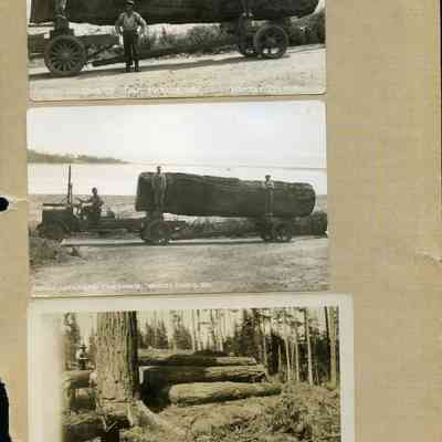 Arnew Logging Company