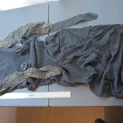 2023.dpw.368 - dress, black crepe, long, net sleeves w/ gold spider web design - bias but: DPW CB 16 Shelf D; Donated by Madeline Darst