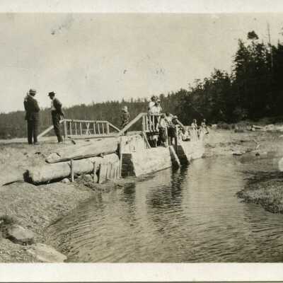 Photograph