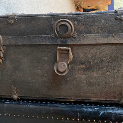 Trunk