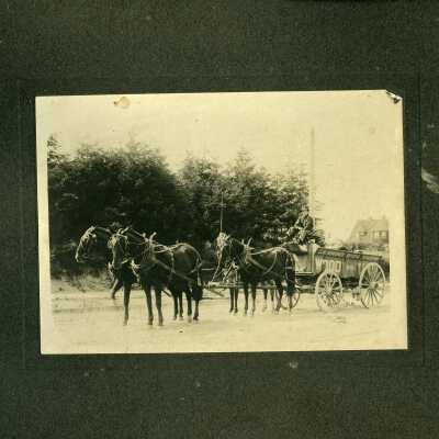 Print, Photographic