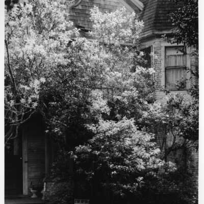 Origformat: Print-Photographic