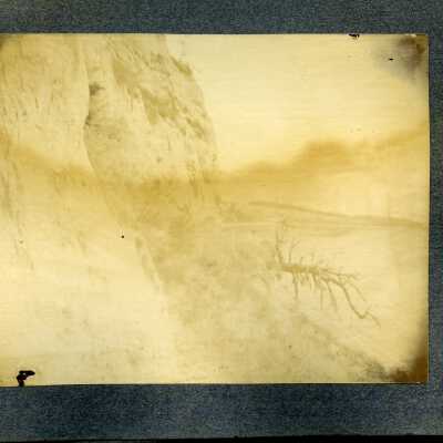 Photograph