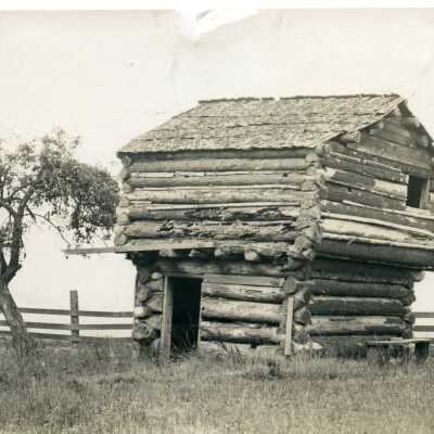 Photograph