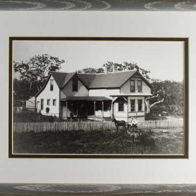 Photograph