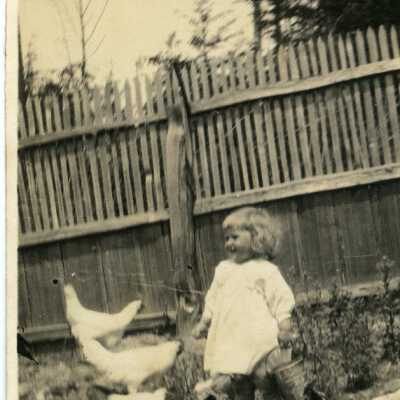 Photograph