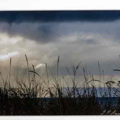 November Dune