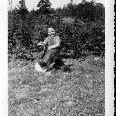 Print, Photographic