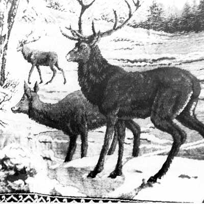 Print, Photographic