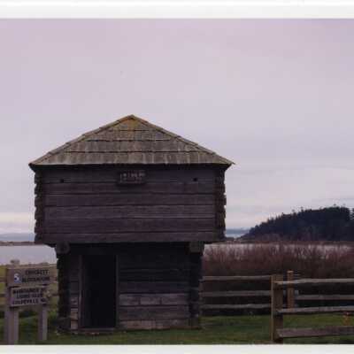 Photograph