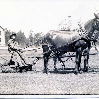 Postcard, Photographic, Photographic
