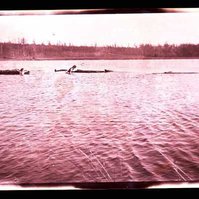 Negative, Film