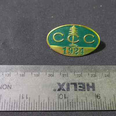 Pin