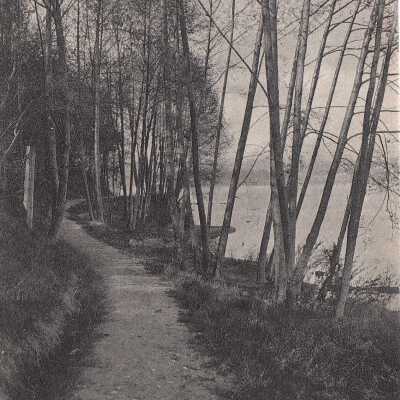On the Shore of Lake Washington, Seattle WA: Origsize: 3.5x5.5; Origformat: Print-Photographic