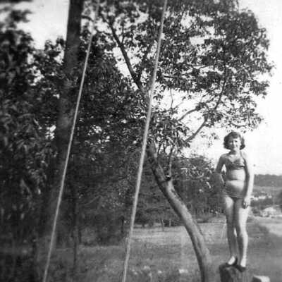 Photograph