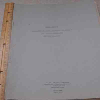 Audit Statement