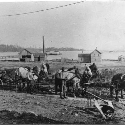 Maylor Dock - Road Grader