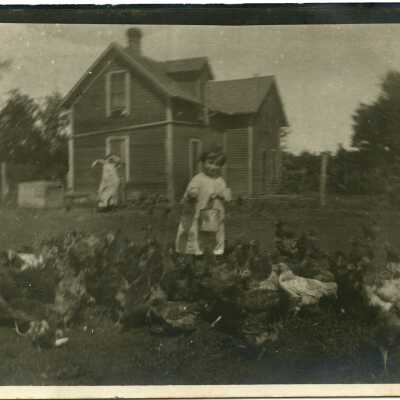 Feeding the Chickens - Postcard, Photographic