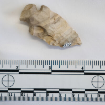 Projectile Point