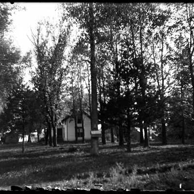 House in trees: Origsize: 4x5; Origformat: Negative