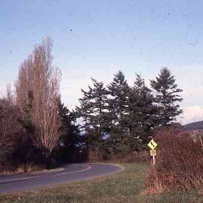 155. Curve in Hill Road, "Wilbur Sherman's Land": ca. 1957