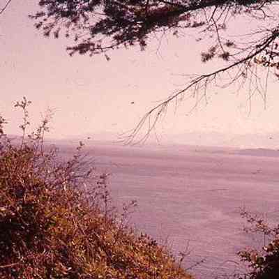 154. Madrona Way?: March 1977