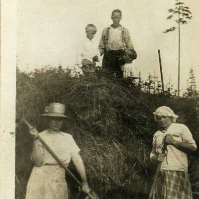 Photograph