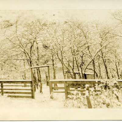Postcard, Photographic
