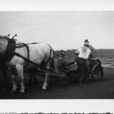 Print, Photographic - Farming 1939
