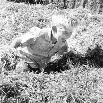 Rollick in the Hay