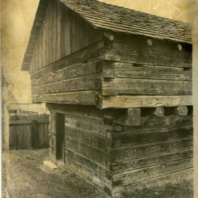 Photograph