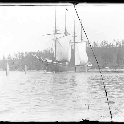 Origsize: 4" x 5"; Origformat: Negative