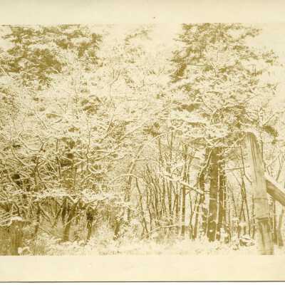 Postcard, Photographic