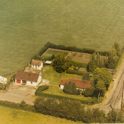 Photograph