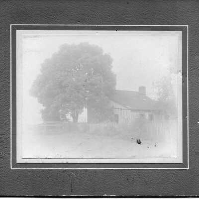 Photograph